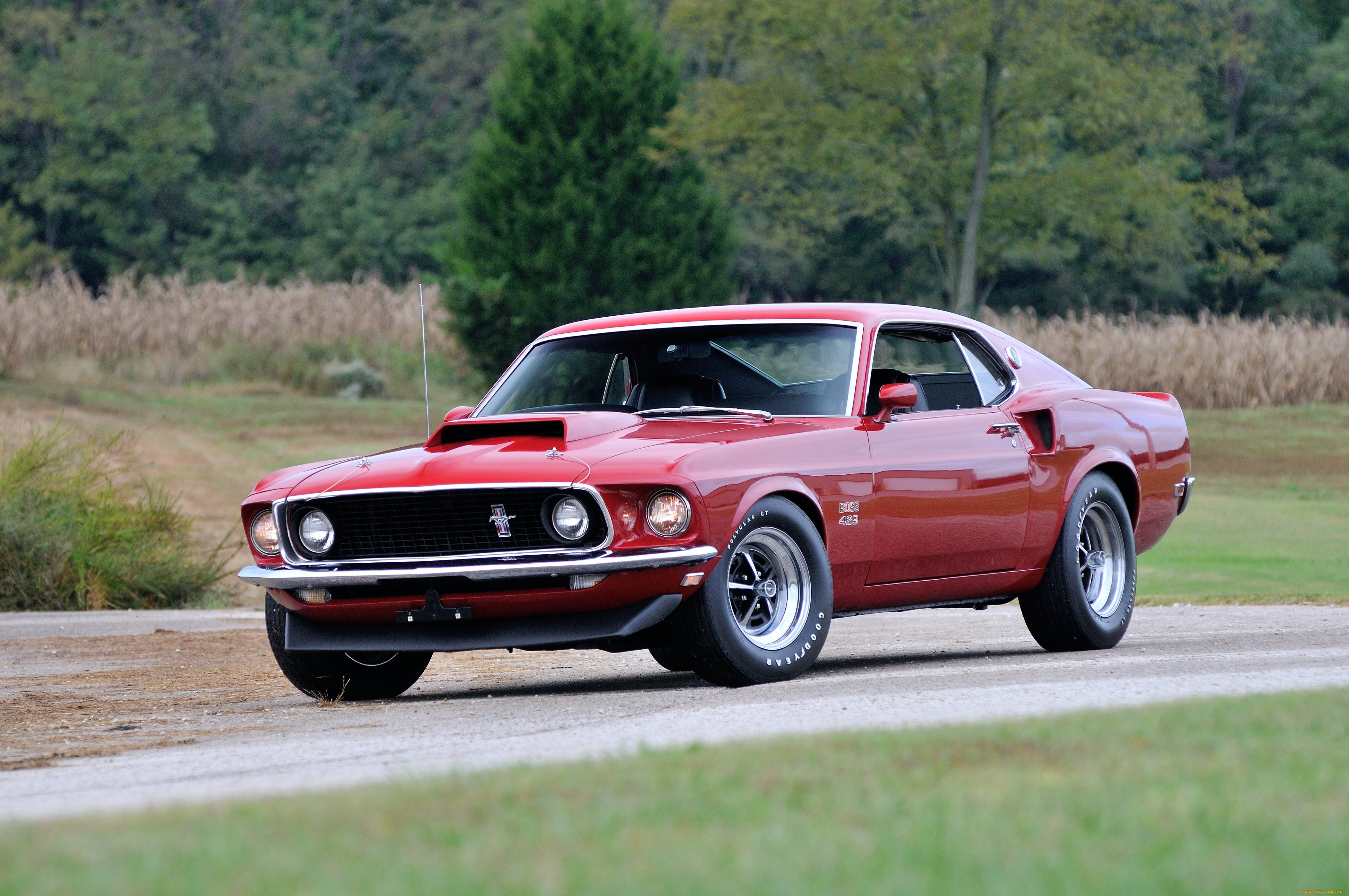 Форд Мустанг 1967 Boss 429